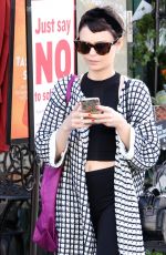 ALEXANDRA KROSNEY Shopping at Grocery Store in West Hollywood 05/30/2017