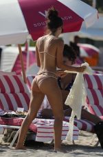 ALEXANDRA MICHELLE in Bikini at a Beach in Miami 05/30/2017
