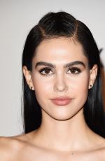 AMELIA HAMLIN at 24th Annual Race to Erase MS Gala in Beverly Hills 05/05/2017