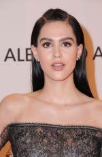 AMELIA HAMLIN at 24th Annual Race to Erase MS Gala in Beverly Hills 05/05/2017