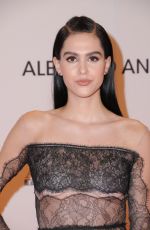AMELIA HAMLIN at 24th Annual Race to Erase MS Gala in Beverly Hills 05/05/2017