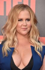 AMY SCHUMER at Snatched Premiere in Westwood 05/10/2017