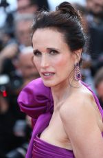 ANDIE MACDOWELL at The Meyerowitz Stories Premiere at 70th Annual Cannes Film Festival 05/21/2017