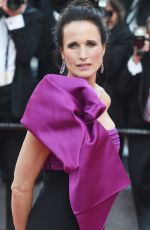 ANDIE MACDOWELL at The Meyerowitz Stories Premiere at 70th Annual Cannes Film Festival 05/21/2017