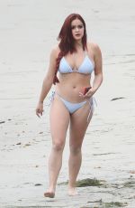 ARIEL WINTER in Bikini on the Beach in Malibu 05/29/2017