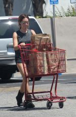 ASHLEY TISDALE Shopping at Trader Joe