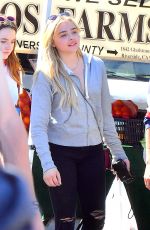 CHLOE MORETZ Shopping at Farmers Market in Studio City 05/21/2017