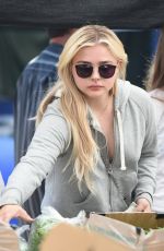 CHLOE MORETZ Shopping at Farmers Market in Studio City 05/21/2017