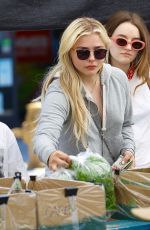 CHLOE MORETZ Shopping at Farmers Market in Studio City 05/21/2017