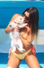 CLAUDIA ROMANI in Bikini with Her Dog Out in Miami 05/30/2017