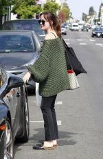 DAKOTA JOHNSON at Carrera Cafe in Los Angeles 05/25/2017