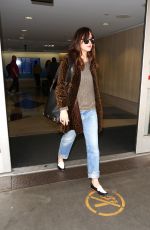 DAKOTA JOHNSON at LAX Airport in Los Angeles 05/05/2017