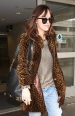 DAKOTA JOHNSON at LAX Airport in Los Angeles 05/05/2017