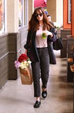 DAKOTA JOHNSON Leave Erewhon Grocery Store in Los Angeles 05/14/2017