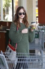 DAKOTA JOHNSON Out and About in Los Angeles 05/25/2017