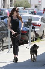 DAKOTA JOHNSON Out with Her Dog in Los Angeles 05/18/2017