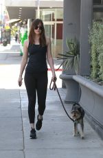 DAKOTA JOHNSON Out with Her Dog in Los Angeles 05/18/2017