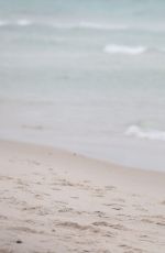 DEVON WINDSOR in Bikini on the Beach in Miami 05/25/2017