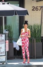 DRAYA MICHELE Out and About in Los Angeles 05/04/2017
