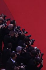 ELLE FANNING at The Beguiled Premiere at 70th Annual Cannes Film Festival 05/24/2017