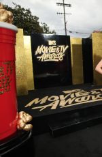 HAILEE STEINFELD at 2017 MTV Movie & TV Awards in Los Angeles 05/07/2017