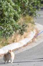 HEIDI MONTAG Walks Her Dog Out in Los Angeles 05/13/2017