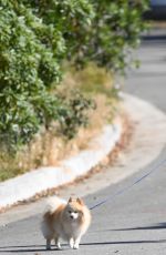 HEIDI MONTAG Walks Her Dog Out in Los Angeles 05/13/2017