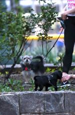 HILARY DUFF Walks Her Dog Out in New York 05/16/2017