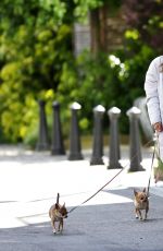 KATHARINE MCPHEE Walks Her Dogs Out in Vancouver 05/24/2017