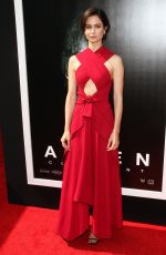 KATHERINE WATERSTON at Ridley Scott Hand and Footprint Ceremony in Hollywood 05/17/2017