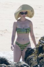KATY PERRY in Bikini on the Beach in Cabo San Lucas 05/09/2017