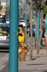 MARY CAREY Out Shopping in Studio City 05/16/2017