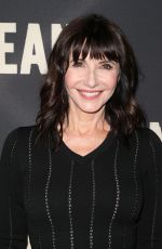 MARY STEENBURGEN at Dean Premiere in Los Angeles 05/24/2017