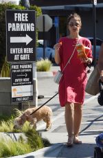 MINKA KELLY Out with Her Dogs in Los Angeles 05/27/2017