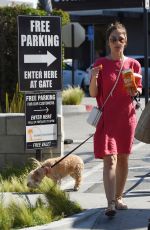 MINKA KELLY Out with Her Dogs in Los Angeles 05/27/2017