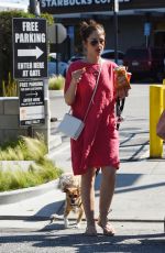 MINKA KELLY Out with Her Dogs in Los Angeles 05/27/2017