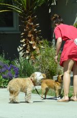 MINKA KELLY Out with Her Dogs in Los Angeles 05/27/2017