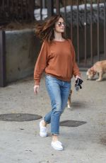 MINKA KELLY Walks Her Dogs at a Park in Hollywood 05/24/2017