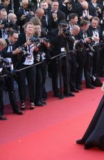 MOLLY SIMS at Okja Screening at 70th Annual Cannes Film Festival 05/19/2017