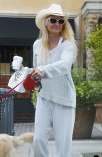 NICOLLETTE SHERIDAN Out with Her Dog in Calabasas 05/09/2017