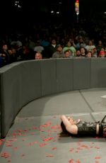 NXT TakeOver: Chicago Digitals