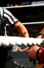 NXT TakeOver: Chicago Digitals