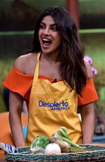 PRIYANKA CHOPRA at Despierta America in Miami 05/12/2017