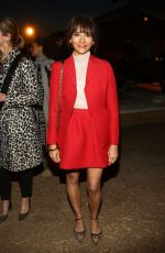 RASHIDA JONES at Dior Cruise Collection 2018 Show in Los Angeles 05/11/2017