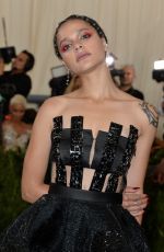 SASHA LANE at 2017 MET Gala in New York 05/01/2017