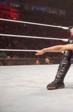 WWE - Live in Belfast 05/06/2017