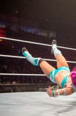 WWE - Live in Belfast 05/06/2017