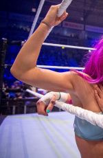 WWE - Live in Belfast 05/06/2017