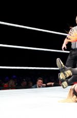 WWE Live in Birmingham 05/10/2017