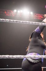 WWE -  Live in Bologna 05/04/2017